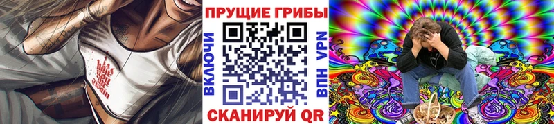 купить наркотики сайты  Суровикино  Галлюциногенные грибы мицелий 